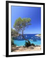 Spain, Balearic Islands, Ibiza, Cala Salada Beach-Michele Falzone-Framed Photographic Print