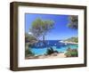 Spain, Balearic Islands, Ibiza, Cala Salada Beach-Michele Falzone-Framed Photographic Print