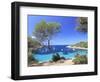 Spain, Balearic Islands, Ibiza, Cala Salada Beach-Michele Falzone-Framed Photographic Print