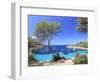 Spain, Balearic Islands, Ibiza, Cala Salada Beach-Michele Falzone-Framed Photographic Print