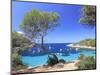 Spain, Balearic Islands, Ibiza, Cala Salada Beach-Michele Falzone-Mounted Photographic Print