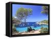 Spain, Balearic Islands, Ibiza, Cala Salada Beach-Michele Falzone-Framed Stretched Canvas