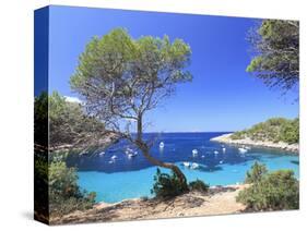 Spain, Balearic Islands, Ibiza, Cala Salada Beach-Michele Falzone-Stretched Canvas