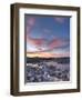 Spain, Balearic Islands, Ibiza, View of Ibiza Old Town (UNESCO Site), and Dalt Vila-Michele Falzone-Framed Photographic Print