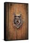 Spain, Balearic Islands, Mallorca, door knockers.-Emily Wilson-Framed Stretched Canvas