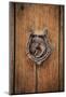 Spain, Balearic Islands, Mallorca, door knockers.-Emily Wilson-Mounted Photographic Print