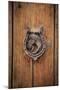 Spain, Balearic Islands, Mallorca, door knockers.-Emily Wilson-Mounted Photographic Print