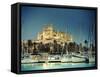 Spain, Balearic Islands, Mallorca, Palma De Mallorca, Cathedral-Michele Falzone-Framed Stretched Canvas