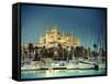 Spain, Balearic Islands, Mallorca, Palma De Mallorca, Cathedral-Michele Falzone-Framed Stretched Canvas