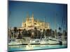 Spain, Balearic Islands, Mallorca, Palma De Mallorca, Cathedral-Michele Falzone-Mounted Photographic Print