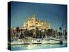 Spain, Balearic Islands, Mallorca, Palma De Mallorca, Cathedral-Michele Falzone-Stretched Canvas