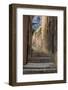 Spain, Balearic Islands, Mallorca, Palma de Mallorca, street scenes.-Emily Wilson-Framed Photographic Print