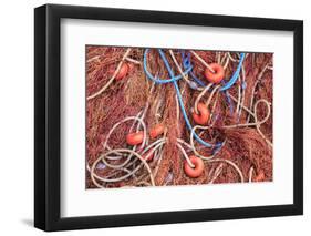 Spain, Balearic Islands, Mallorca, Santanyi, Cala Figuera. Small, colorful fishing harbor-Emily Wilson-Framed Photographic Print