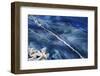 Spain, Balearic Islands, Menorca, Fishing Net at Port of Mao-Walter Bibikow-Framed Photographic Print