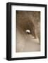 Spain, Barcelona, Park Guell by Antonio Gaudi-null-Framed Photographic Print