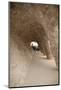 Spain, Barcelona, Park Guell by Antonio Gaudi-null-Mounted Photographic Print