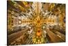 Spain, Barcelona. Sagrada Familia ceiling.-Hollice Looney-Stretched Canvas