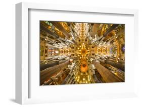 Spain, Barcelona. Sagrada Familia ceiling.-Hollice Looney-Framed Photographic Print