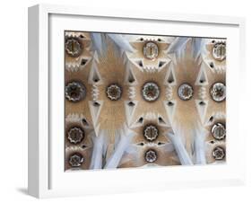 Spain, Barcelona, Sagrada Familia, Interior-Steve Vidler-Framed Photographic Print