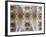 Spain, Barcelona, Sagrada Familia, Interior-Steve Vidler-Framed Photographic Print