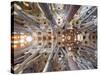 Spain, Barcelona, Sagrada Familia, Interior-Steve Vidler-Stretched Canvas