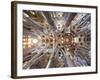 Spain, Barcelona, Sagrada Familia, Interior-Steve Vidler-Framed Photographic Print