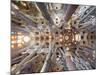 Spain, Barcelona, Sagrada Familia, Interior-Steve Vidler-Mounted Photographic Print