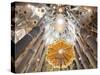 Spain, Barcelona, Sagrada Familia, Interior-Steve Vidler-Stretched Canvas