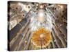 Spain, Barcelona, Sagrada Familia, Interior-Steve Vidler-Stretched Canvas