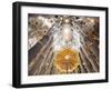 Spain, Barcelona, Sagrada Familia, Interior-Steve Vidler-Framed Photographic Print