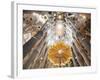 Spain, Barcelona, Sagrada Familia, Interior-Steve Vidler-Framed Photographic Print