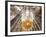 Spain, Barcelona, Sagrada Familia, Interior-Steve Vidler-Framed Photographic Print