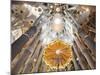 Spain, Barcelona, Sagrada Familia, Interior-Steve Vidler-Mounted Photographic Print