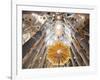 Spain, Barcelona, Sagrada Familia, Interior-Steve Vidler-Framed Photographic Print