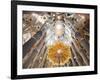 Spain, Barcelona, Sagrada Familia, Interior-Steve Vidler-Framed Photographic Print