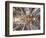 Spain, Barcelona, Sagrada Familia, Interior-Steve Vidler-Framed Photographic Print