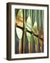 Spain, Barcelona, Sagrada Familia, Organ-Steve Vidler-Framed Photographic Print