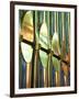 Spain, Barcelona, Sagrada Familia, Organ-Steve Vidler-Framed Photographic Print