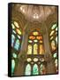 Spain, Barcelona, Sagrada Familia, Stained Glass Windows-Steve Vidler-Framed Stretched Canvas