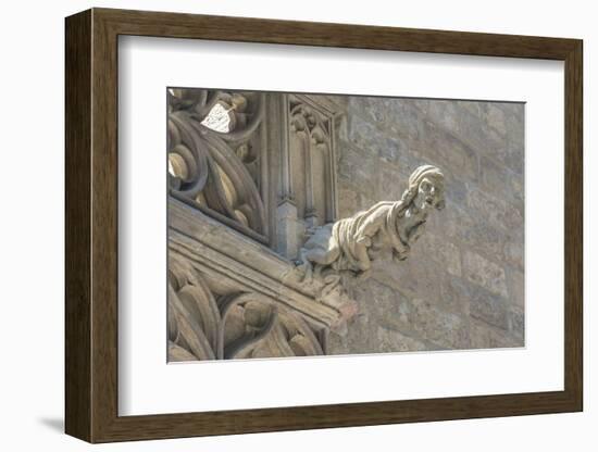 Spain, Barcelona, Stone Carving, Gargoyle-Jim Engelbrecht-Framed Photographic Print