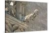 Spain, Barcelona, Stone Carving, Gargoyle-Jim Engelbrecht-Stretched Canvas