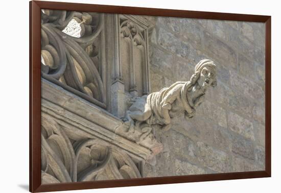 Spain, Barcelona, Stone Carving, Gargoyle-Jim Engelbrecht-Framed Photographic Print