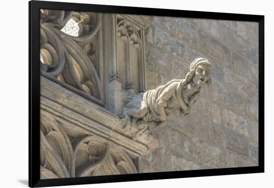 Spain, Barcelona, Stone Carving, Gargoyle-Jim Engelbrecht-Framed Photographic Print