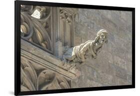 Spain, Barcelona, Stone Carving, Gargoyle-Jim Engelbrecht-Framed Photographic Print