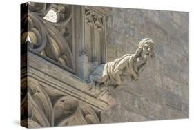 Spain, Barcelona, Stone Carving, Gargoyle-Jim Engelbrecht-Stretched Canvas