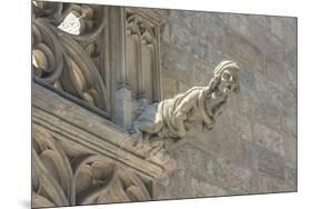 Spain, Barcelona, Stone Carving, Gargoyle-Jim Engelbrecht-Mounted Premium Photographic Print