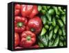 Spain, Barcelona, the Ramblas, la Boqueria Market, Vegetable Shop Display of Peppers-Steve Vidler-Framed Stretched Canvas