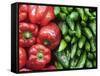 Spain, Barcelona, the Ramblas, la Boqueria Market, Vegetable Shop Display of Peppers-Steve Vidler-Framed Stretched Canvas