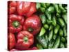 Spain, Barcelona, the Ramblas, la Boqueria Market, Vegetable Shop Display of Peppers-Steve Vidler-Stretched Canvas