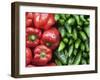 Spain, Barcelona, the Ramblas, la Boqueria Market, Vegetable Shop Display of Peppers-Steve Vidler-Framed Photographic Print